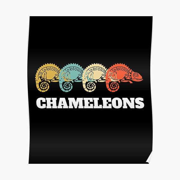 Chameleon Chamaeleon Vintage Snail Design Poster
