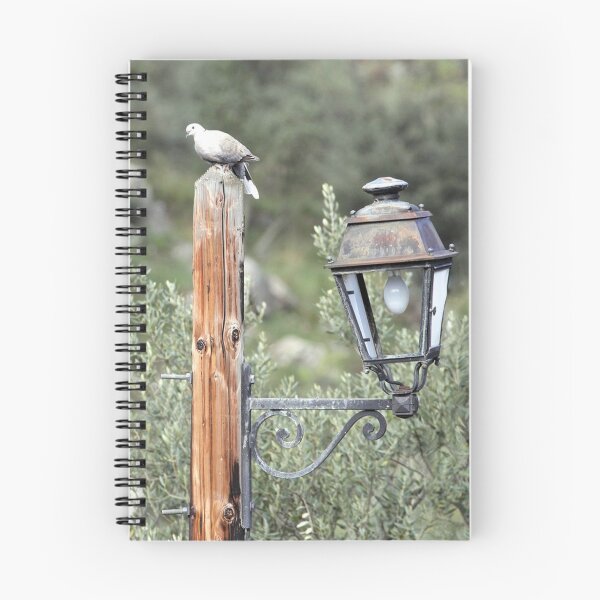 Item preview, Street Lamp designed and sold by John Thurgood.