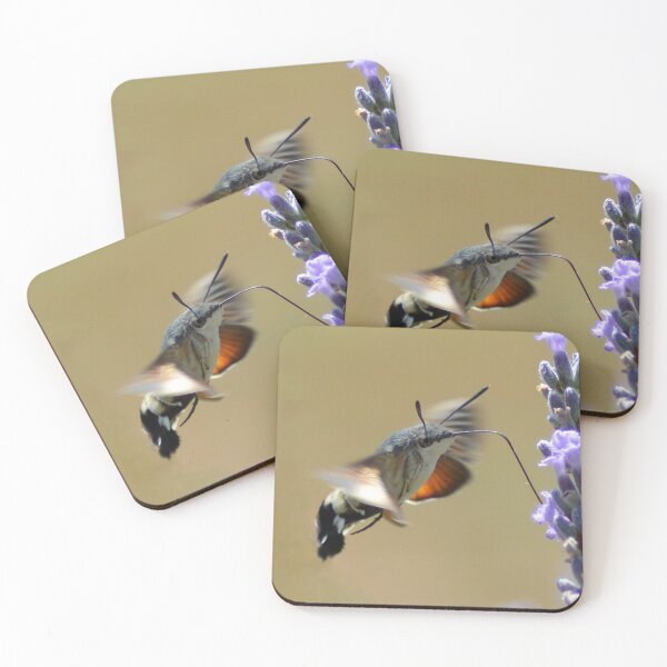 Item preview, Pigeon tail designed and sold by NW-Photo-Art.
