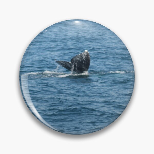 Item preview, Whale  designed and sold by SashaSprite.