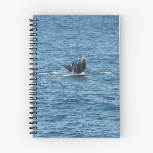 Item preview, Whale  designed and sold by SashaSprite.