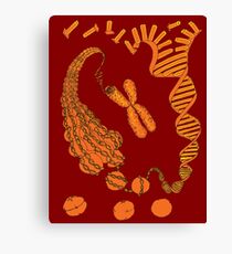 Chromatin Structure Canvas Print