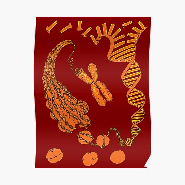 Chromatin Structure Poster