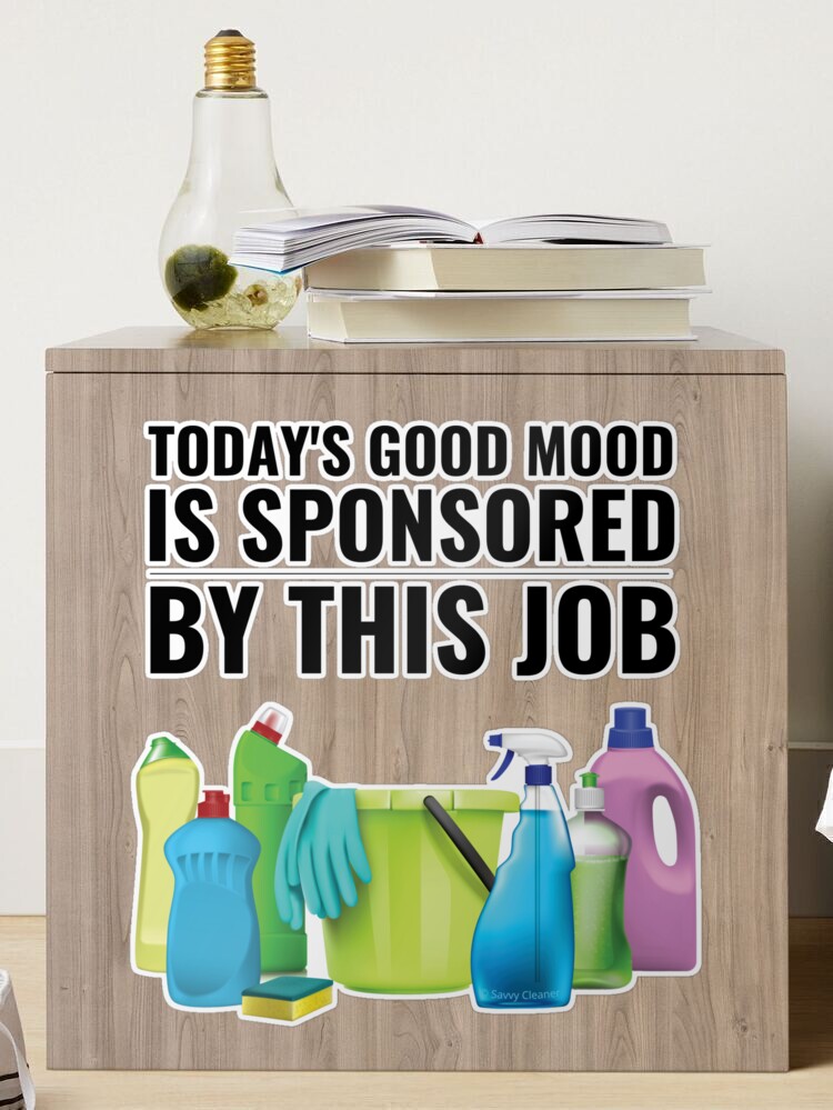 Today's Good Mood Cleaning Supplies Fun Housekeeping Lady Gifts