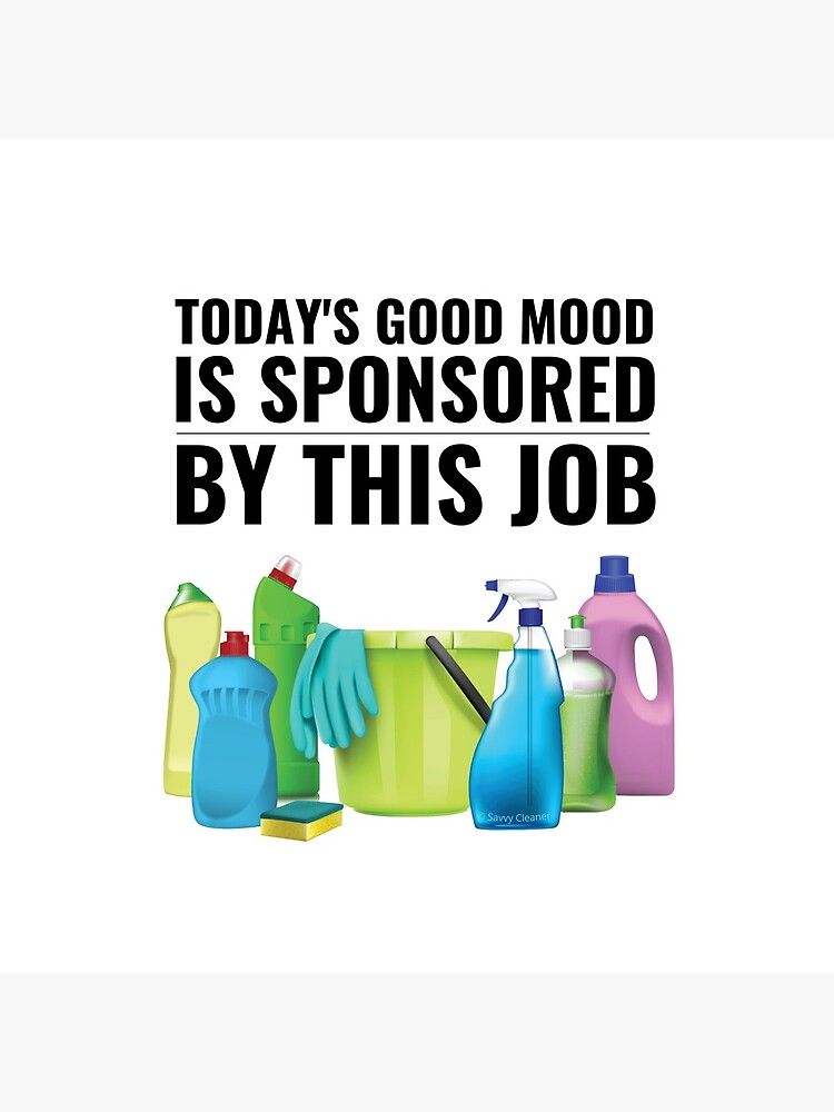 Today's Good Mood Cleaning Supplies Fun Housekeeping Lady Gifts