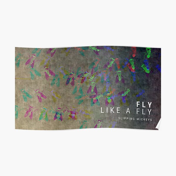 Fly (Like a Fly) Poster