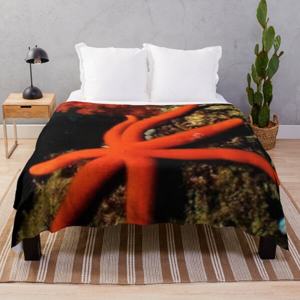 Item preview, Luzon Sea Star - Echinaster Luzonicus  designed and sold by Andjela Bakos.