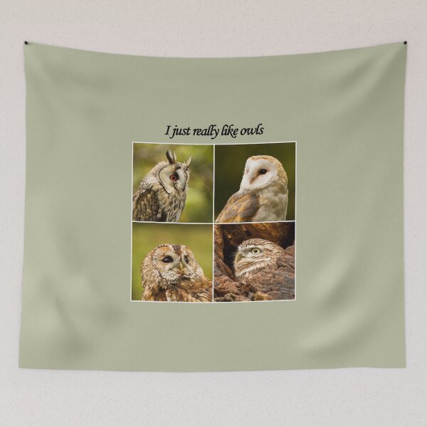 Item preview, I Just Really Like Owls designed and sold by Jane Stanley Photography.