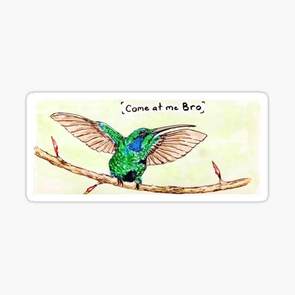 Item preview, Birds are Fowl Bro designed and sold by Annsabine.