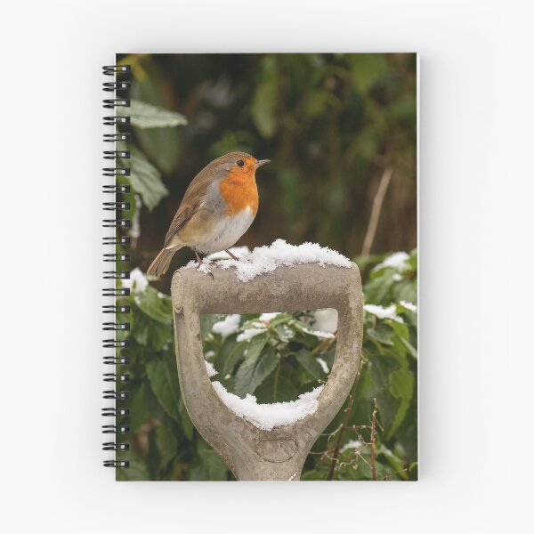 Item preview, Robin on the snow on fork handle designed and sold by Glenn Welch.