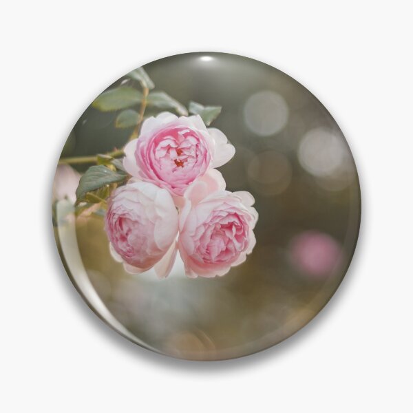 Item preview, Three pink roses designed and sold by ninasprintshop.