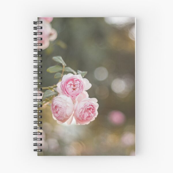 Item preview, Three pink roses designed and sold by ninasprintshop.