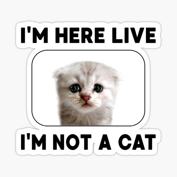 "I'm Here Live I'm Not a Cat Funny Cat Lawyer Meme" Sticker for Sale by