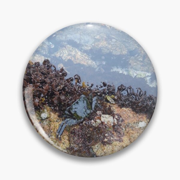 Aperçu de l'œuvre Crabe à Monterey créée et vendue par Sunflowerwild.