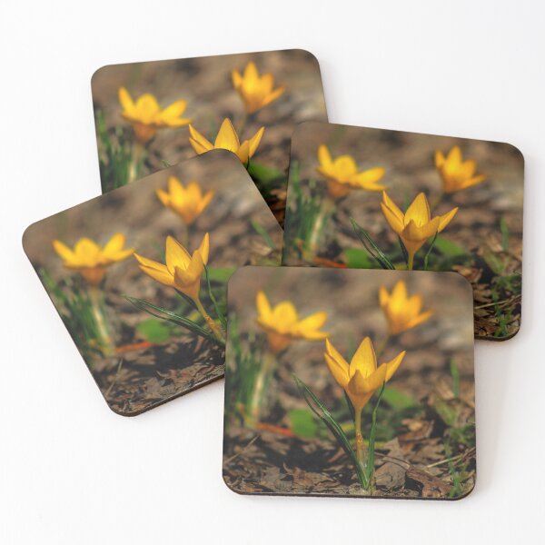 Item preview, Spring flowers designed and sold by Jacob Riley.