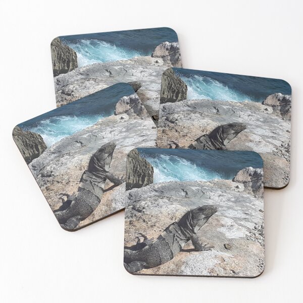 Item preview, Iguana at Las Iguana Park designed and sold by KareyCongo.