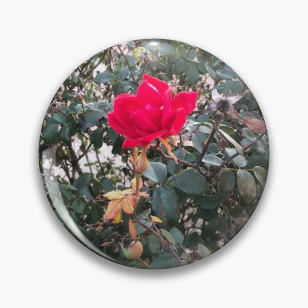 Item preview, Round Rock Rose  designed and sold by MetalheadMinis.