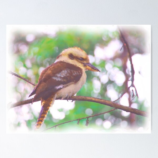 Item preview, Kookaburra sitting in tree designed and sold by KimHSinclair.