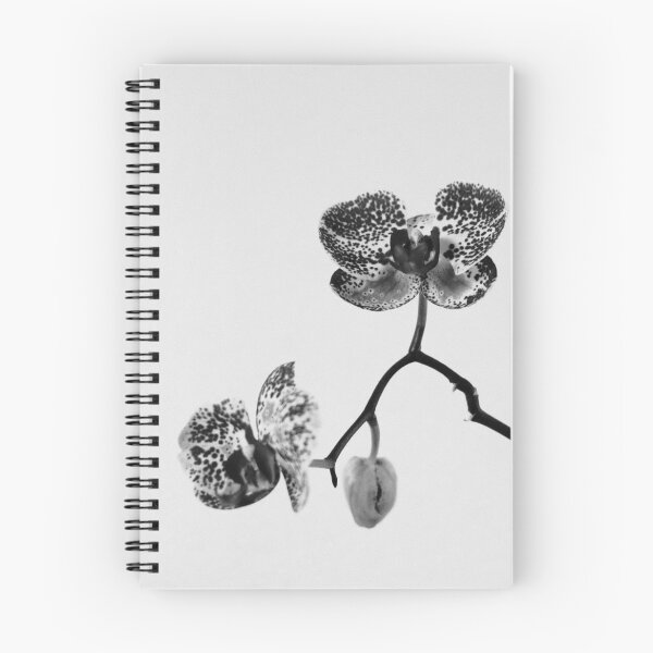 Item preview, Simply a Orchid flower | Black and White Fine Art Photo designed and sold by Diana van Neck.