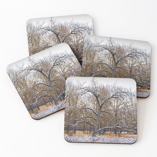 Item preview, Bur Oak illustration designed and sold by CanadianWild418.