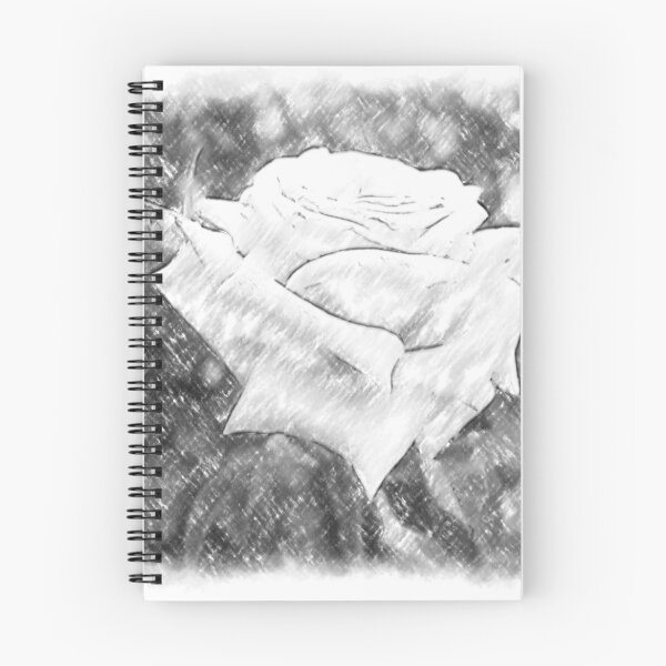 Item preview, Pink Roses in Anzures 6 Charcoal designed and sold by TravelPhotoArt.