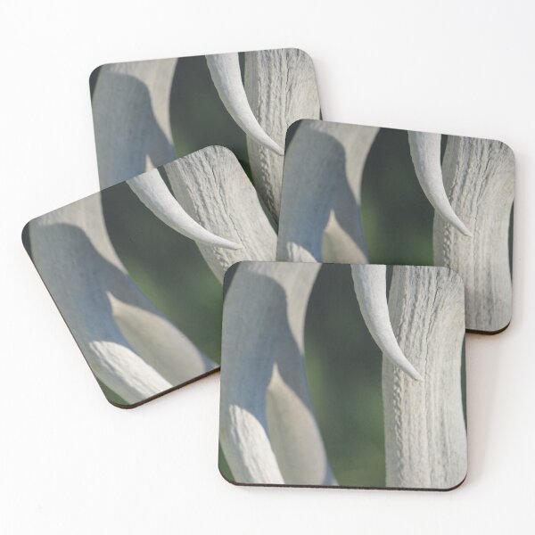 Item preview, HOME 123 designed and sold by Rockymtboy.