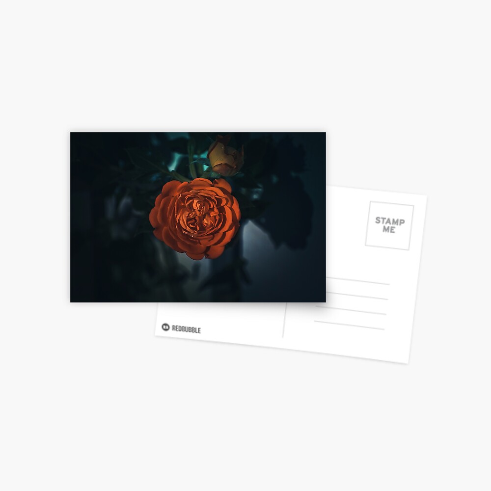 Item preview, Postcard designed and sold by cokemann.
