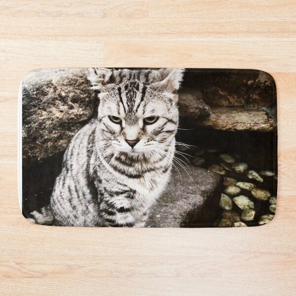 Item preview, Cat by the Rocks designed and sold by Tagalikha.