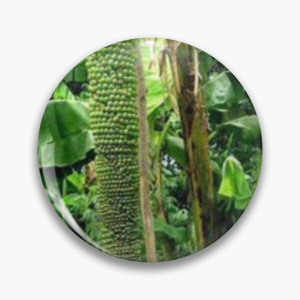 Item preview, Beautiful banana tree. designed and sold by Lan thi Nguyen.