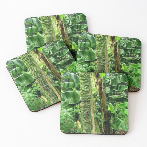 Item preview, Beautiful banana tree. designed and sold by Lan thi Nguyen.