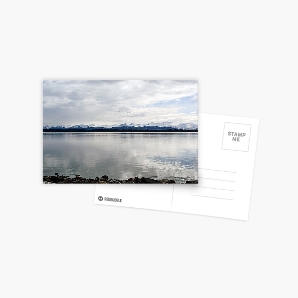 Item preview, Postcard designed and sold by cokemann.