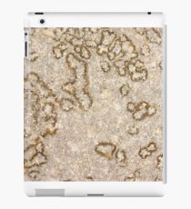 D60 / Nikkor 55mm - 12 iPad Case/Skin