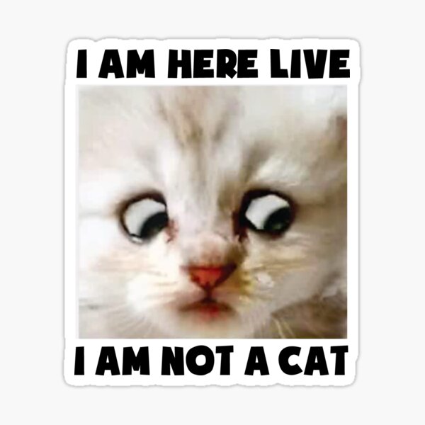 I Am Here Live I Am Not A Cat Sticker By Serialdesigners Redbubble