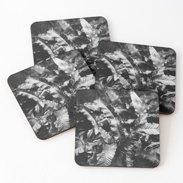 Item preview, Botanical Tropical Leaves | Black and White Fine Art Photo  designed and sold by Diana van Neck.