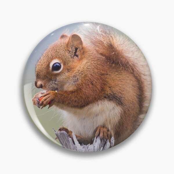 Item preview, Red Squirrel designed and sold by Jukka Jantunen.