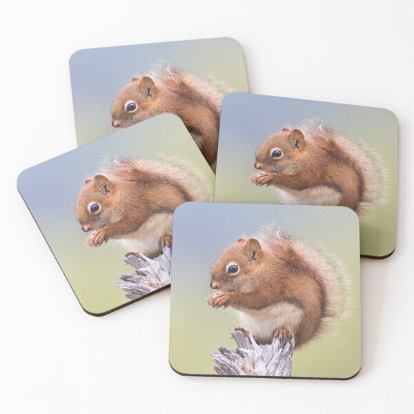 Item preview, Red Squirrel designed and sold by Jukka Jantunen.