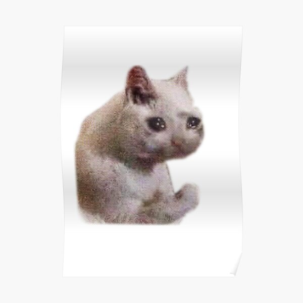 Sad Cat Meme Poster For Sale By Thebestmemepage Redbubble