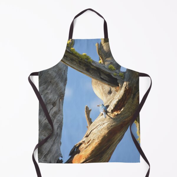 Item preview, HOME 127 designed and sold by Rockymtboy.