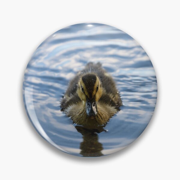 Item preview, Portrait of a cute funny duck in the water	 designed and sold by AlbertMi.