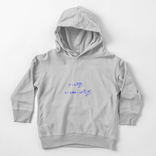 Coulomb&#39;s Law Toddler Pullover Hoodie