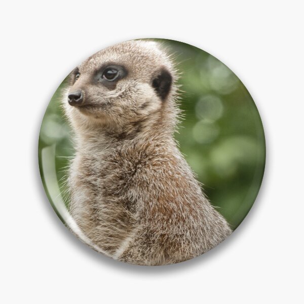 Item preview, Slender Tailed Meerkat designed and sold by Jay Lethbridge.