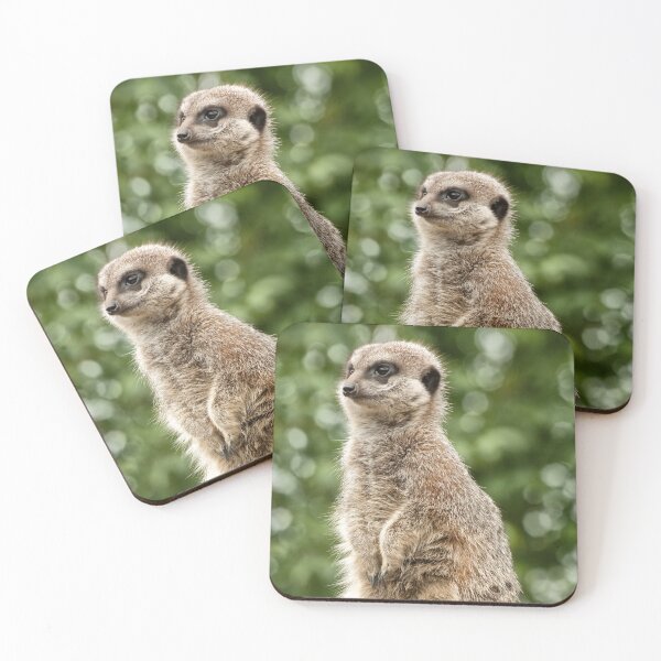 Item preview, Slender Tailed Meerkat designed and sold by Jay Lethbridge.