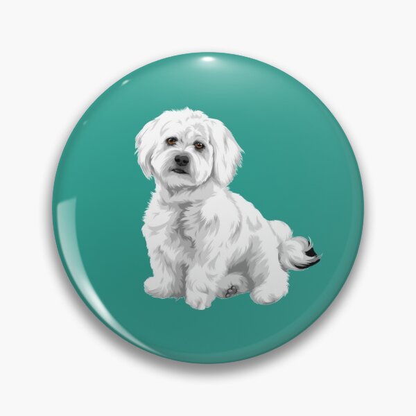 Aperçu de l'œuvre Image de chien Malshi pour les amoureux des petits chiens créée et vendue par MusberriDesigns.