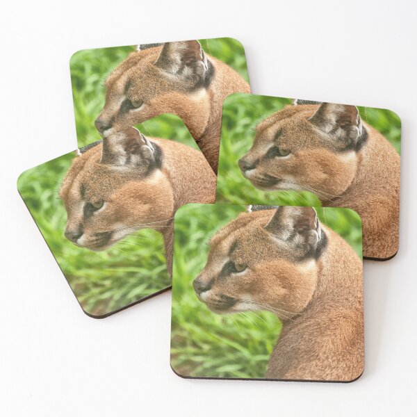 Item preview, Caracal Lynx (Caracal caracal) designed and sold by Jay Lethbridge.