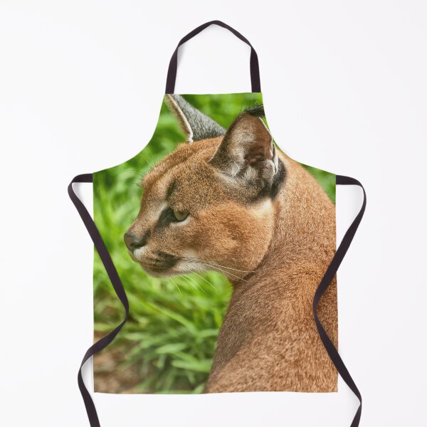 Item preview, Caracal Lynx (Caracal caracal) designed and sold by Jay Lethbridge.