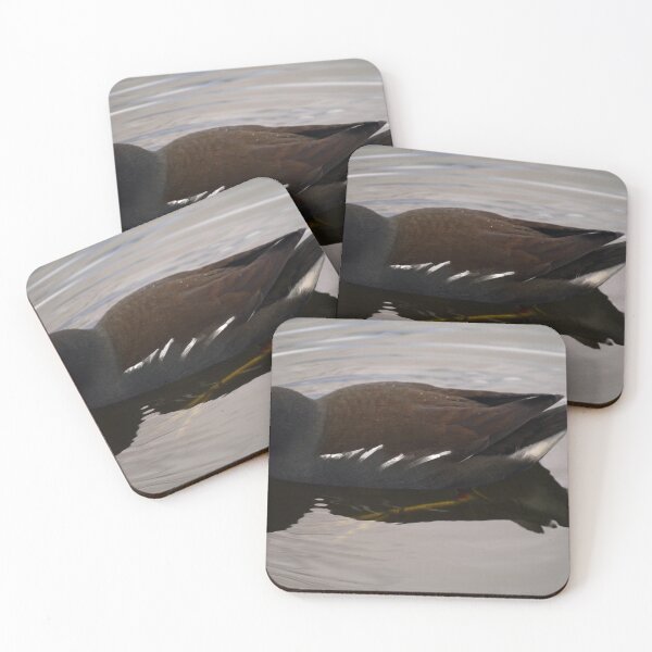 Item preview, Moorhen on the Water designed and sold by GingerMan2550.