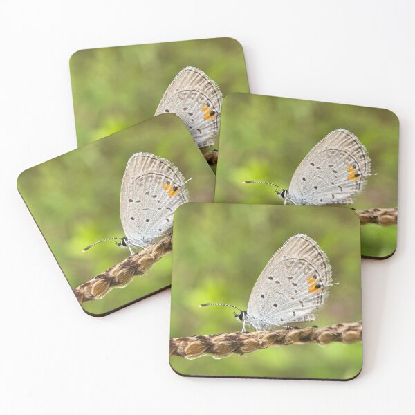 Item preview, Butterfly designed and sold by bealeiderman.