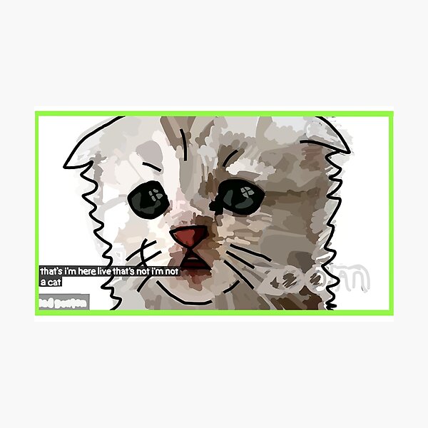 "Funny Zoom Cat says Im not a cat Meme" Photographic Print by