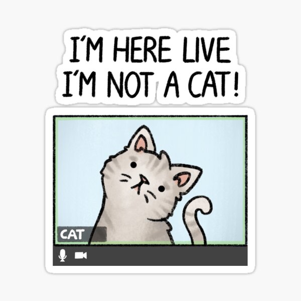 I M Here Live I M Not A Cat Sticker For Sale By Drawforpun Redbubble