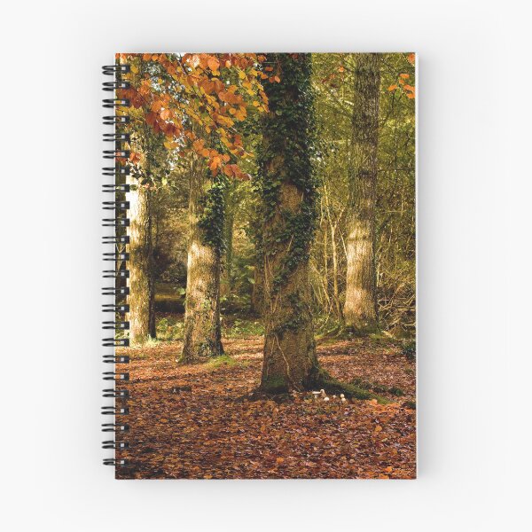 Item preview, Autumn at Stover Country Park designed and sold by Jay Lethbridge.